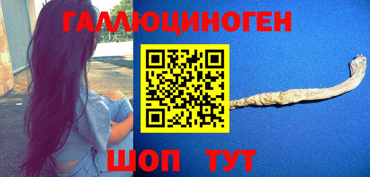 Тверь  Псилоцибиновые грибы Psilocybine cubensis  где купить наркотик  Вход с VPN 