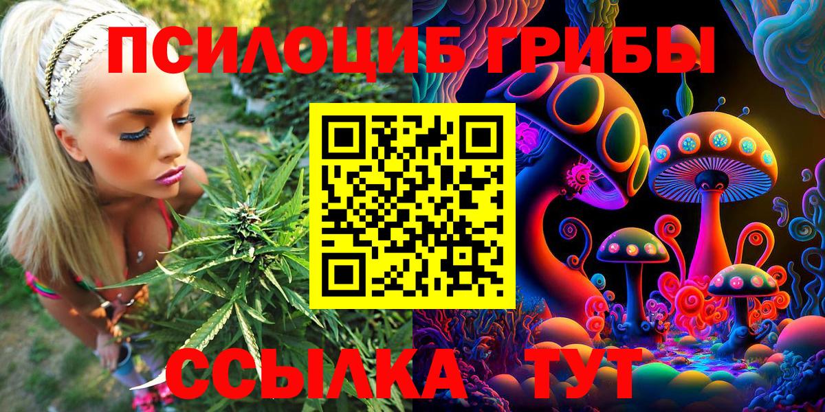Псилоцибиновые грибы мицелий Тверь